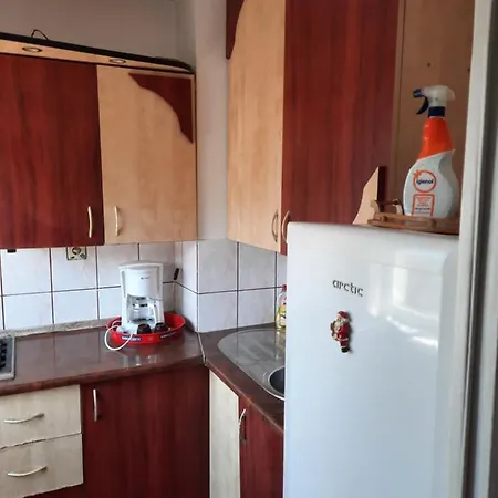 Casa Adrian-garsoniera Centru Vechi Apartment *