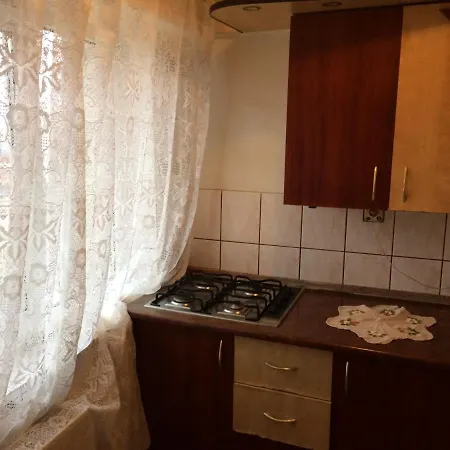 Casa Adrian-garsoniera Centru Vechi Apartment *