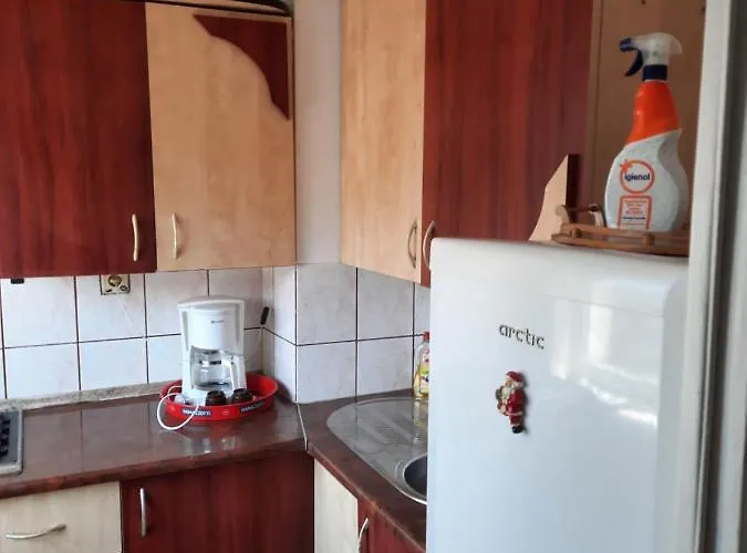 Casa Adrian-garsoniera Centru Vechi Apartment *