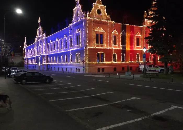 Casa Adrian-garsoniera Centru Vechi Apartment