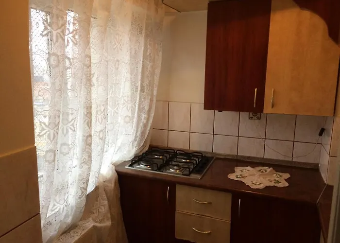 Casa Adrian-garsoniera Centru Vechi Apartment *